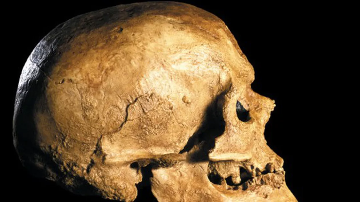 Un autor român revine cu o demonstraţie a faptului că Omul de Cro-Magnon era mai inteligent decât omul actual