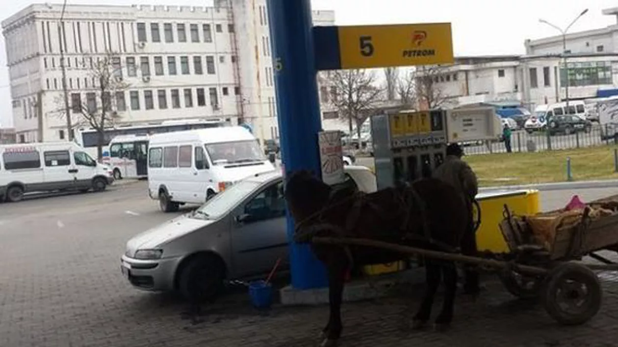 Moment amuzant la o benzinărie din Deva. Un om și-a parcat căruța cu calul în dreptul unei stații de carburanți pentru a alimenta