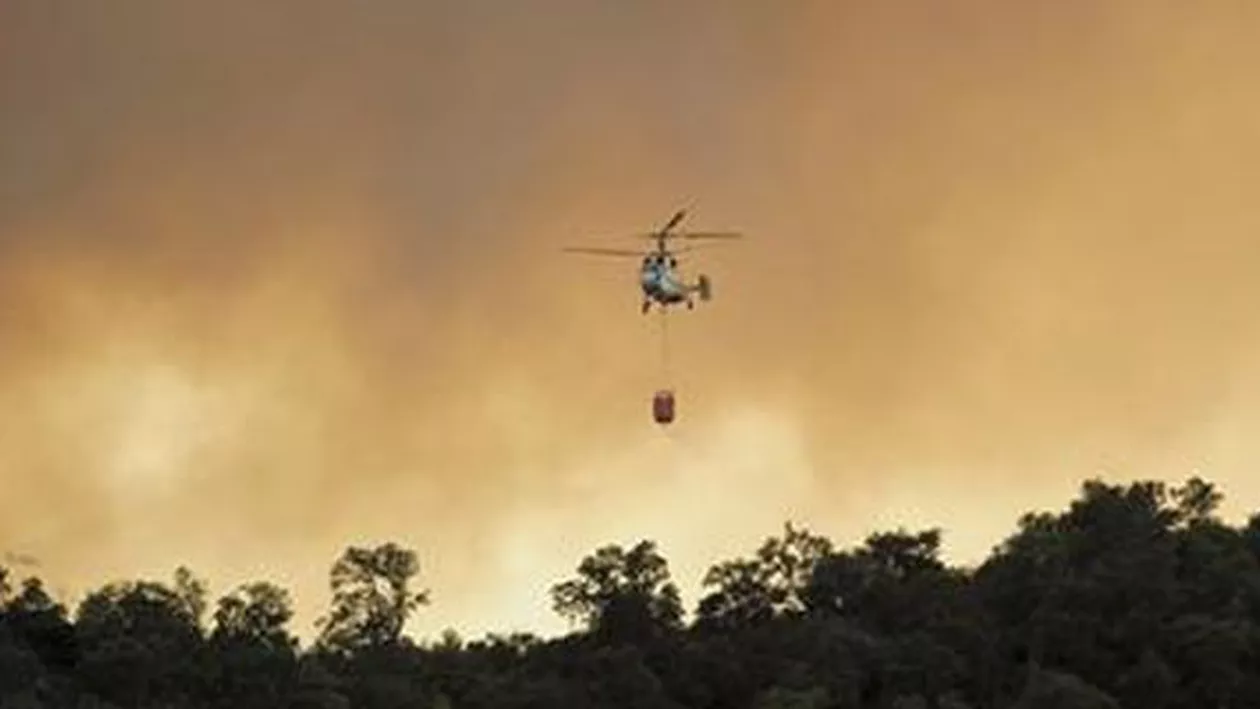 Incendii la granița dintre Franța și Spania: 900 de hectare de vegetație au fost cuprinse de flăcări
