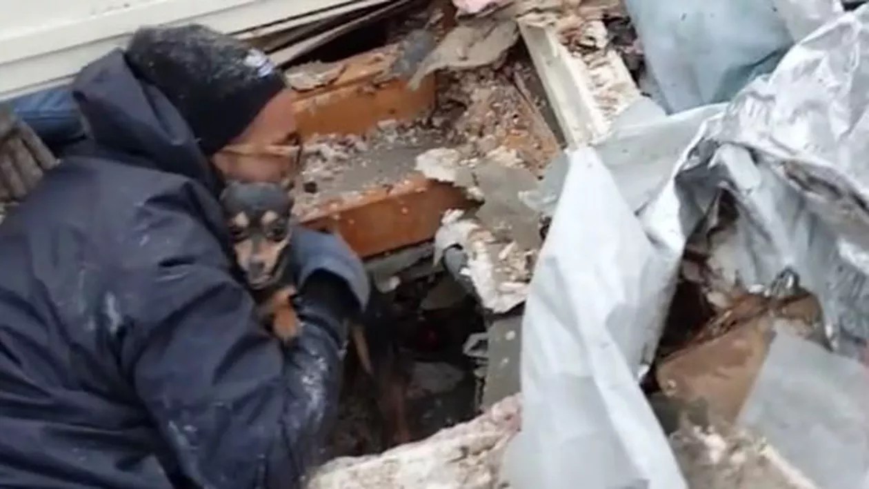 Un cățel a supravieţuit sub dărâmăturile provocate de o tornadă în Texas: Imaginile reîntâlnirii cu stăpânul său au devenit virale pe Internet (VIDEO)