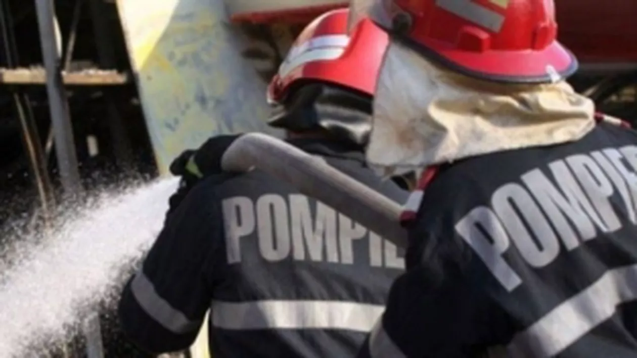 Gest șocant: Un bărbat din Cluj și-a incendiat câinele în casă