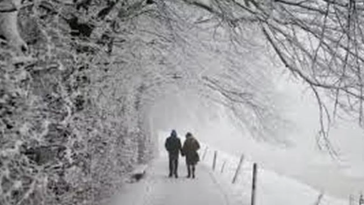 Polonia: 21 de oameni și-au pierdut viața în weekend din cauza gerului