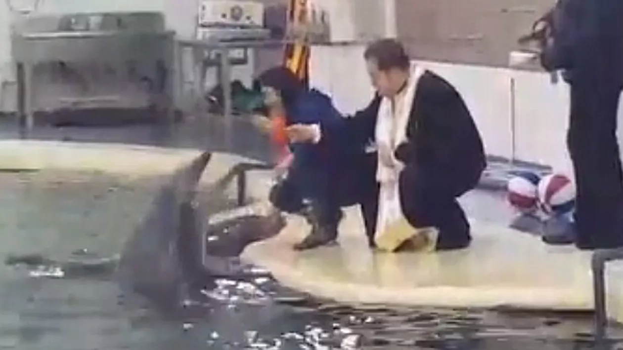 Un preot a botezat şi stropit cu apă sfinţită delfinii şi cerbii din Constanţa (VIDEO)