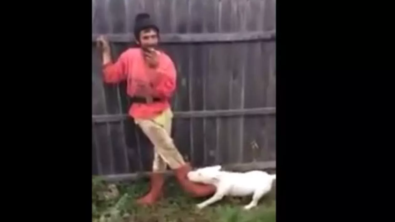 Cristi! Cheamă-l, bă, pe Cristi!: Un filmuleț în care un bărbat este mușcat de un câine și îl strigă pe stăpân pentru a-l salva a devenit viral pe internet (VIDEO)