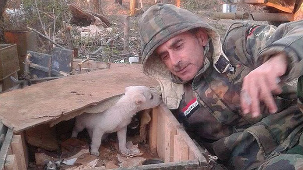 Cum a fost surprins un militar implicat în războiul din Siria într-un moment de pauză (FOTO)