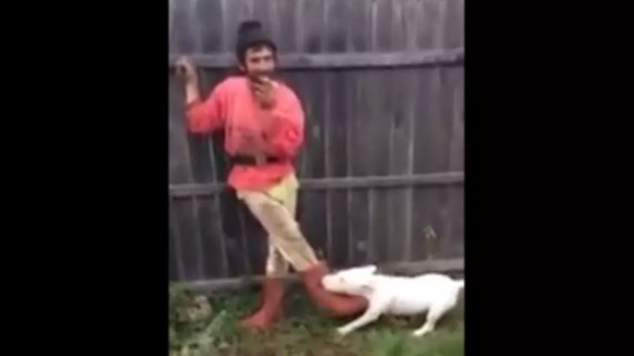 Celebrul Cristi, din filmulețul devenit viral, este un bărbat din Mehedinți, plecat între timp în Italia: Câinele lui a murit (VIDEO)