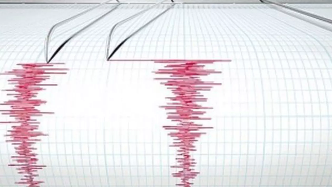 Un cutremur de 3,1 magnitudine s-a produs în județul Vrancea