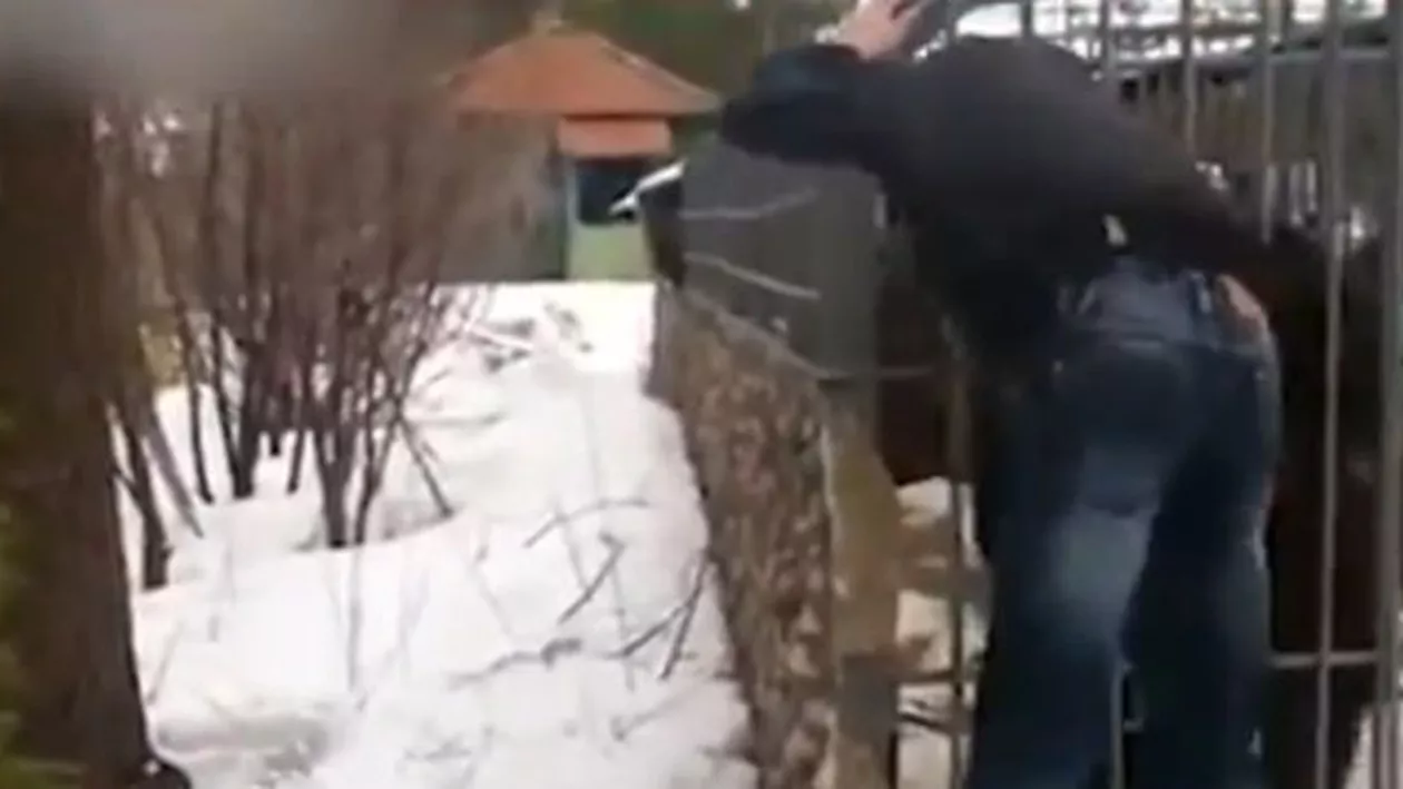 Rusia: Un bărbat și-a pierdut brațul, după ce și-a băgat mâna în cușca ursului (VIDEO)