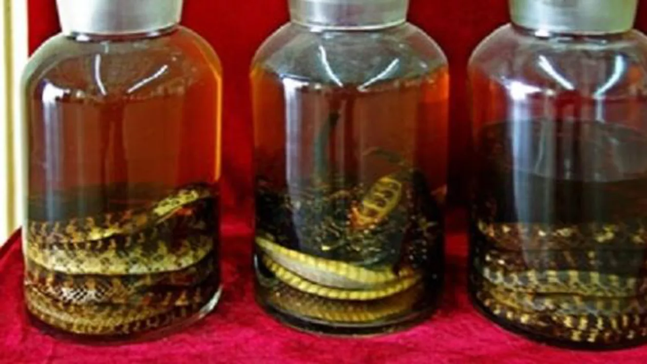 Caz șocant în China. O femeie a fost mușcată de un șarpe ținut în alcool trei luni