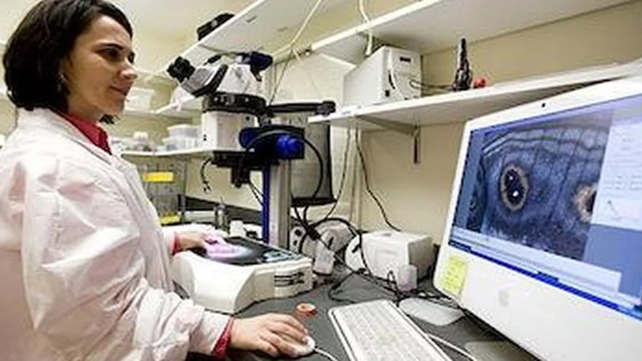 Premieră: Modificarea genetică a embrioni umani, aprobată în Marea Britanie