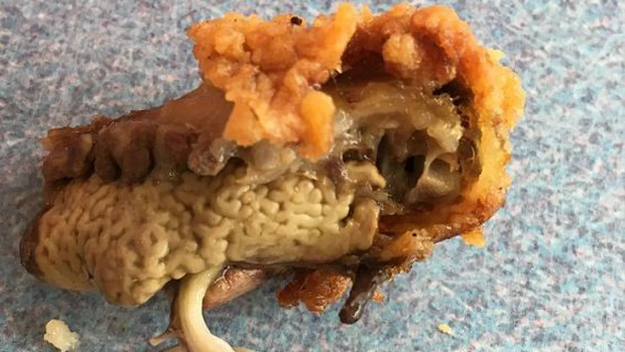 Descoperire dezgustătoare la KFC: Un bărbat din Australia a găsit, în loc de carne, un plămân (FOTO)