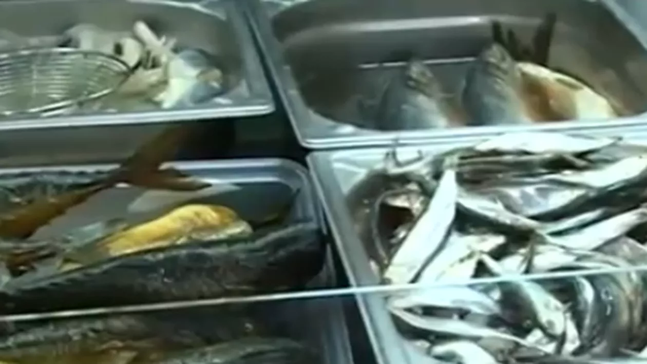 Restaurant din Năvodari, amendat cu 20.000 de lei și închis temporar. Inspectorii au găsit aici mâncare expirată şi peşte depozitat în condiţii improprii (VIDEO)