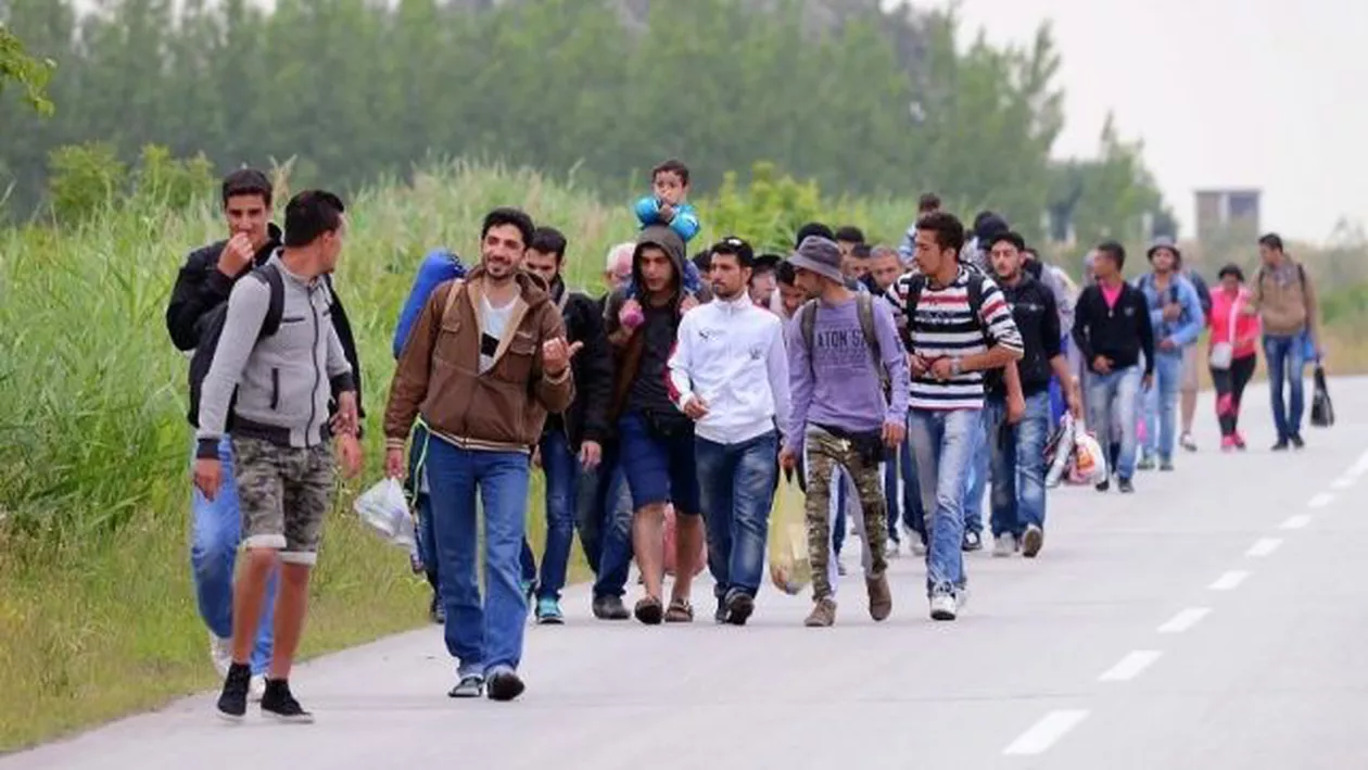 96 de imigranți au solicitat azil în România în 2016
