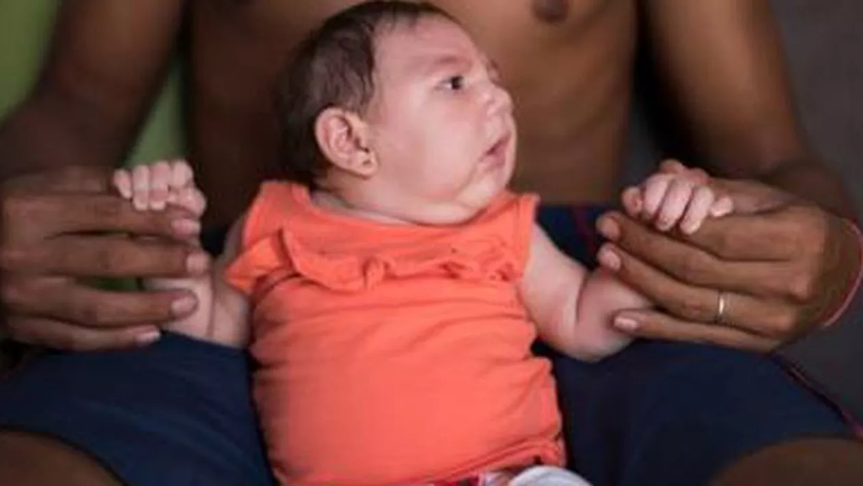 Mitul virusului Zika, spulberat: Pesticidele sunt cauza microcefaliei