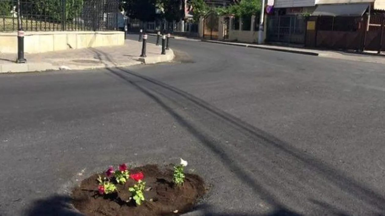 Consiliul Județean Vâlcea, recomandare pentru Primăria Costești: "Dacă tot dorește să planteze ceva în gropile din drumul județean îi sugerăm să planteze trei trandafiri"