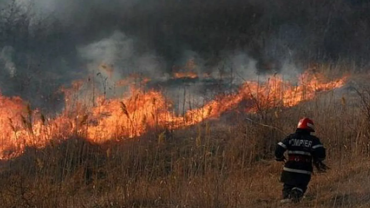 Aproximativ 200 de hectare de vegetație uscată au ars în urma unui incendiu din Buzău