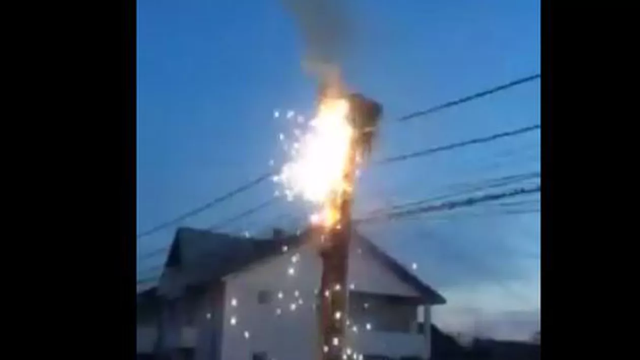Argeș: Incendiu la un cuib de berze aflat pe un stâlp de electricitate (VIDEO)