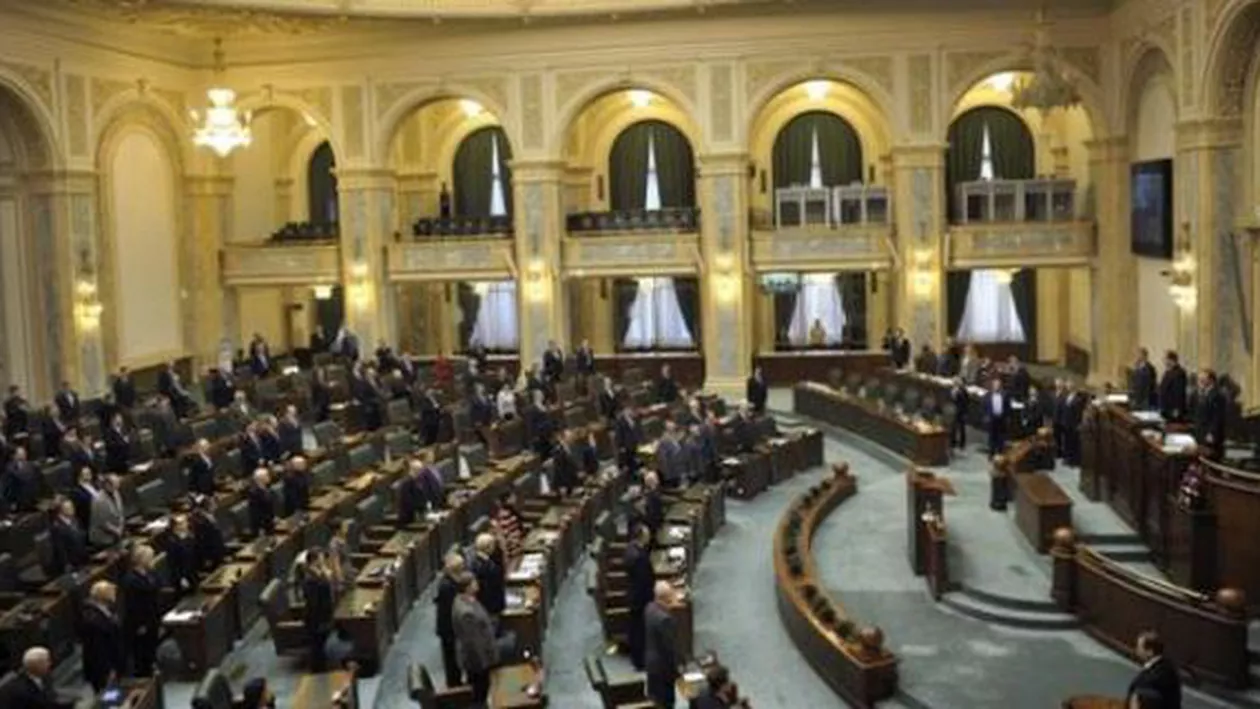 Vasile Blaga: PNL va vota la vedere cererea Justiţiei în cazul senatoarei Doina Tudor