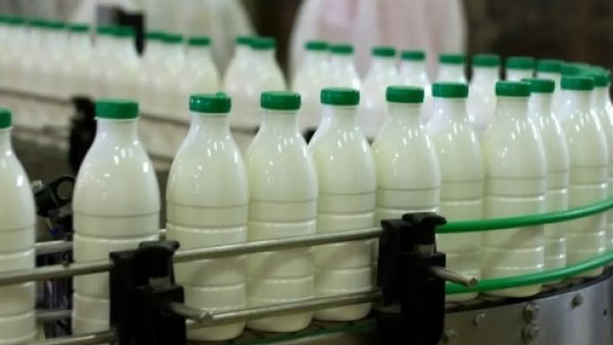 "Doar 63% din laptele de consum din supermarketuri este românesc": Crescătorii de animale atrag din nou atenția asupra laptelui procesat din România