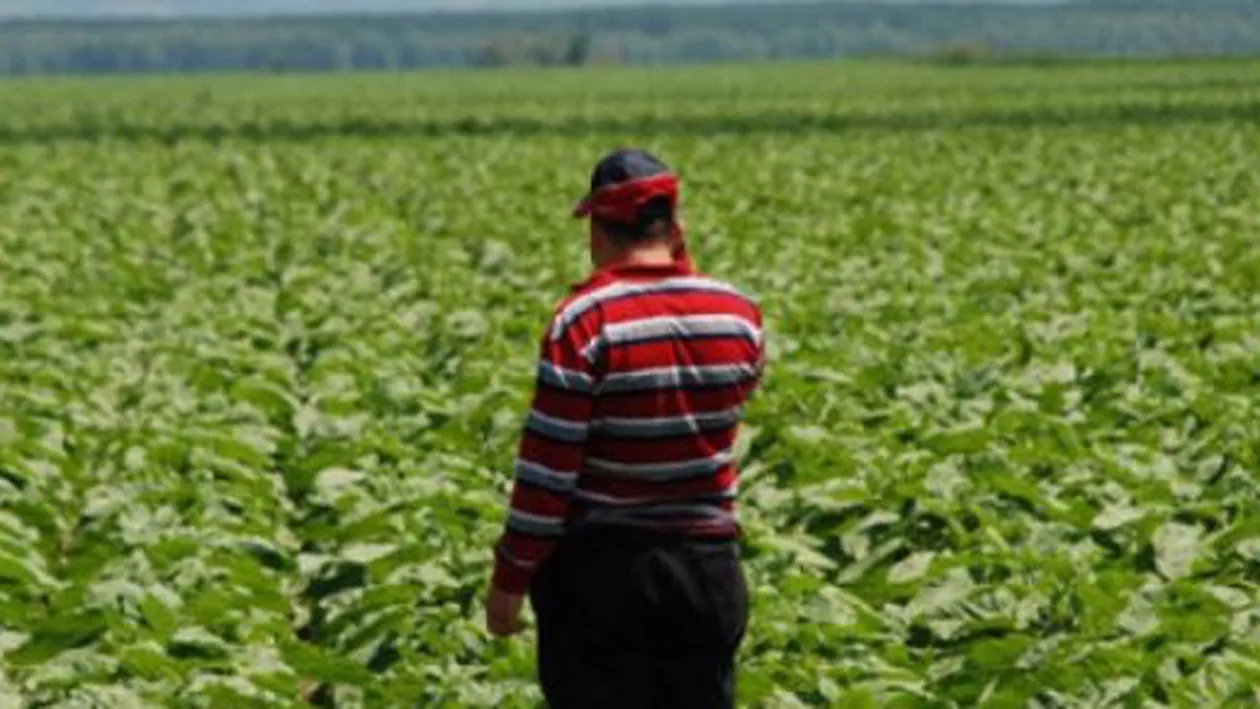 Guvernul va lansa un pachet de măsuri care are în vedere dezvoltarea clasei de mijloc la sate