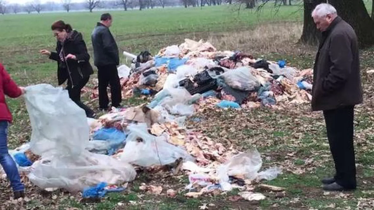 Aproape trei tone de carne stricată, descoperite pe un câmp din județul Buzău