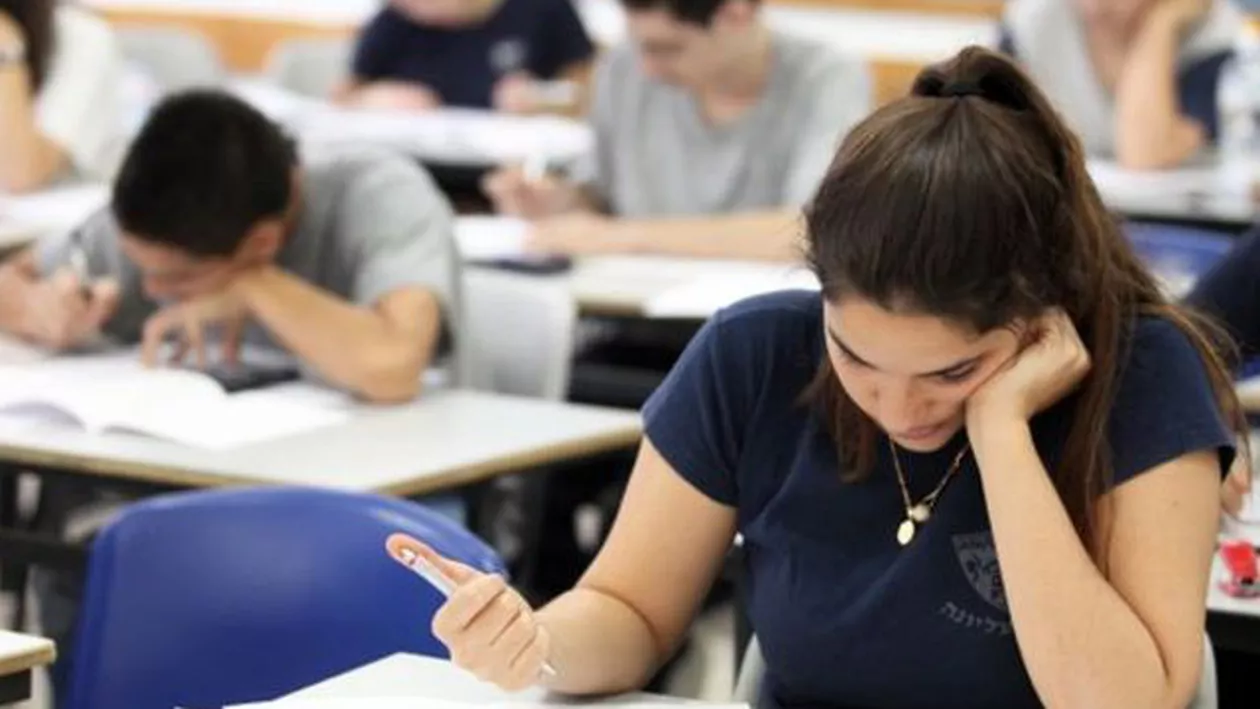 Subiecte simulare Bacalaureat 2016: Proba la Limba și Literatura Română