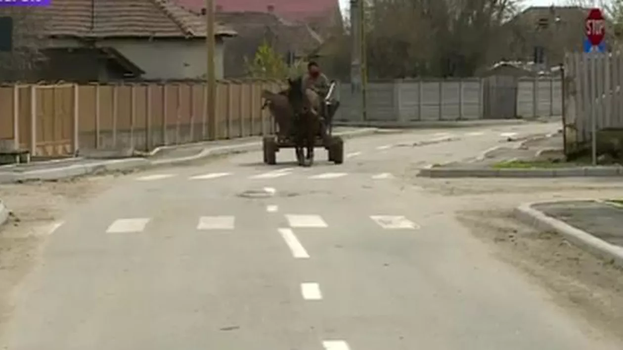 Corabia: O stradă de 800 de metri are 12 treceri de pietoni, toate trasate greșit pe asfalt sau care unesc garduri