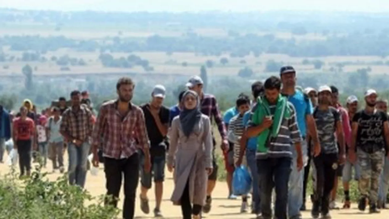 Migranți în camion românesc: 17 persoane, depistate într-un camion la intrarea în Bulgaria