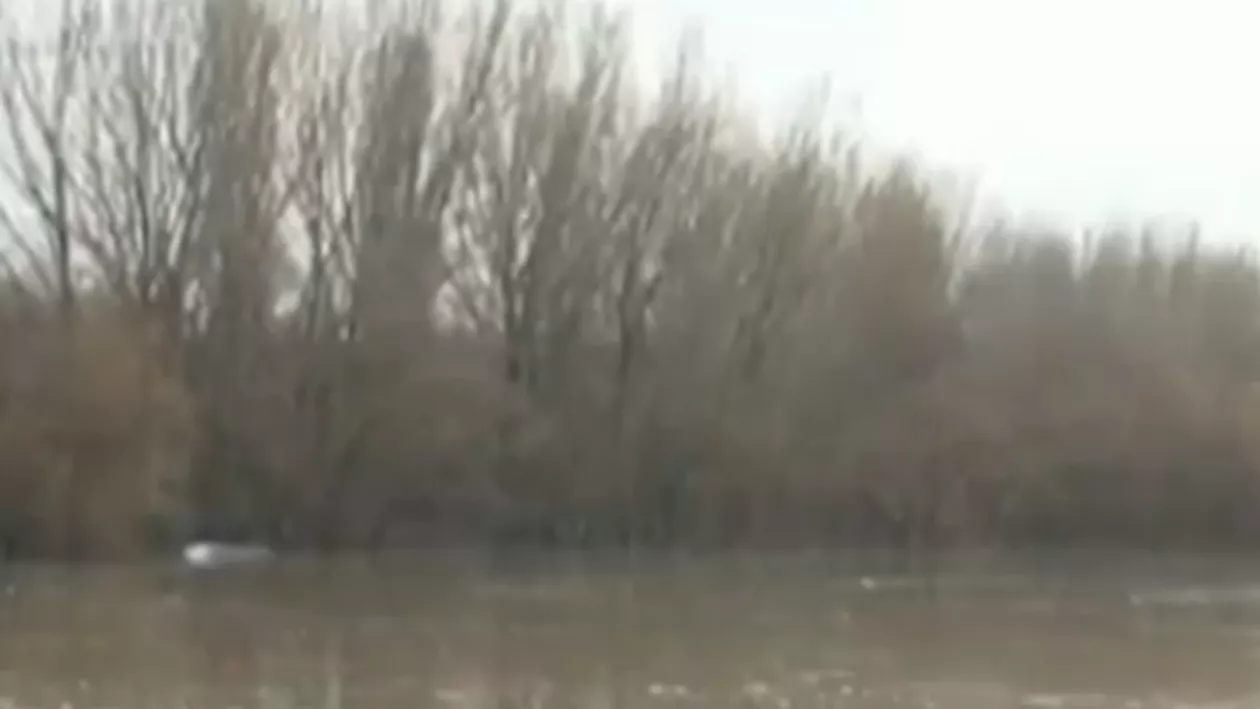 Cod portocaliu de inundaţii pe Dunăre în sectorul Mehedinţi, unde cinci localităţi sunt în pericol să fie inundate (VIDEO)