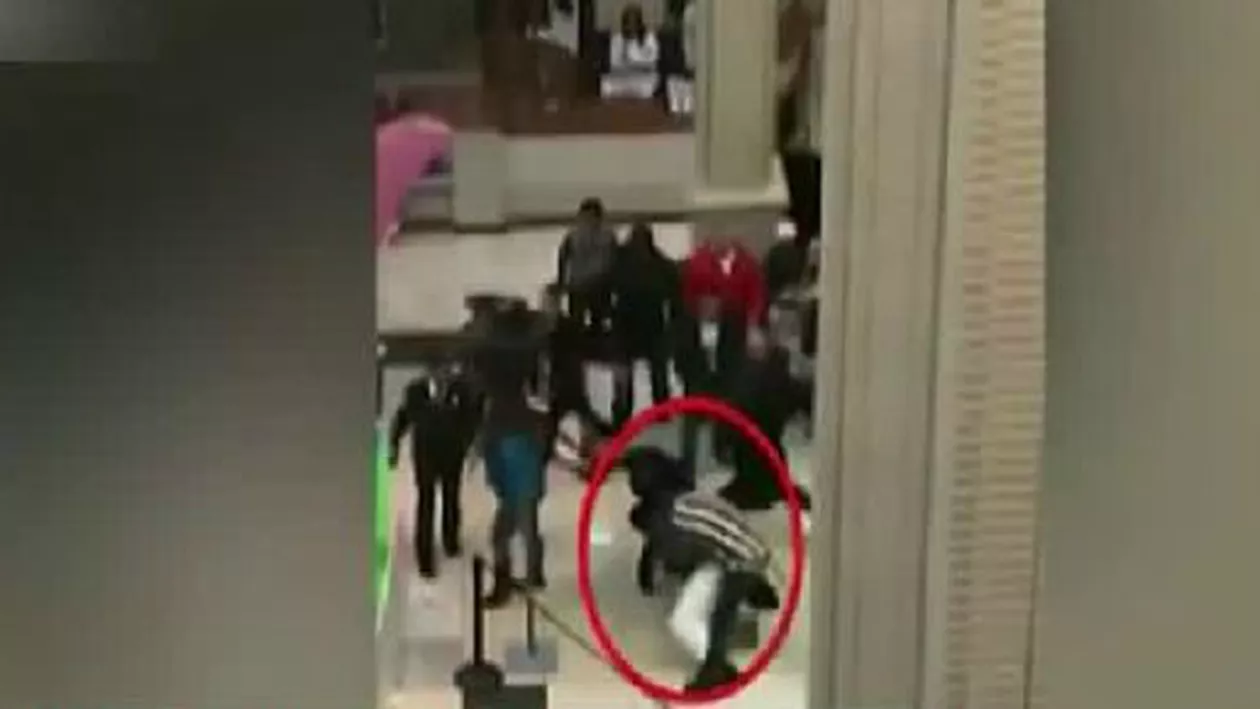 SUA: Un bărbat costumat în iepure de Paște s-a bătut cu un client într-un mall (VIDEO)