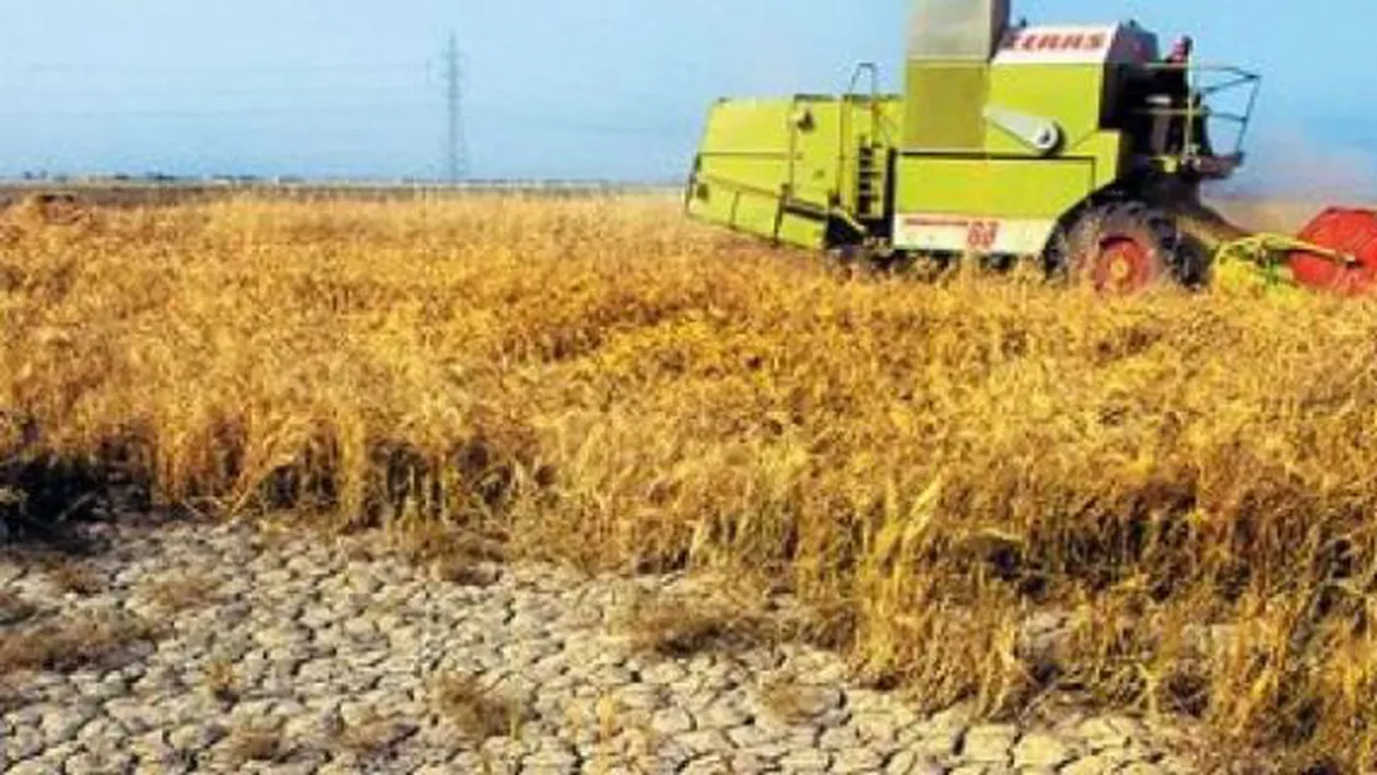 ANM nu vine cu vești bune pentru agricultură: Lunile iulie și august sunt sub semnul secetei