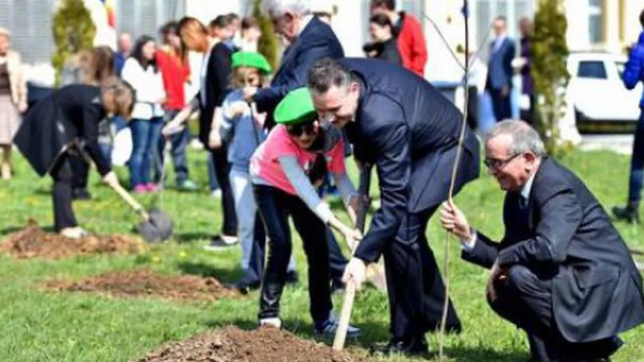 O suta de stejari aurii, plantați pe platoul din curtea Senatului (VIDEO)