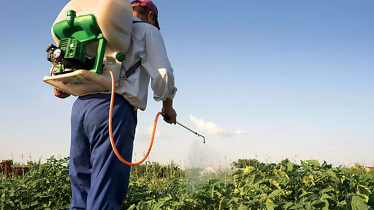 Studiu: Expunerea la fungicide ar putea afecta creierul uman