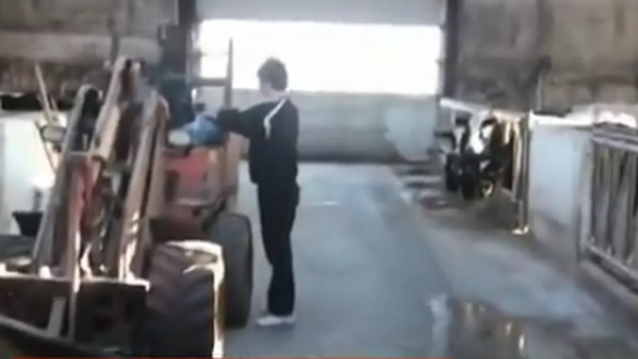 Românii care muncesc la ferme în Danemarca sunt umiliți de patroni și se plâng de condiţiile insalubre (VIDEO)