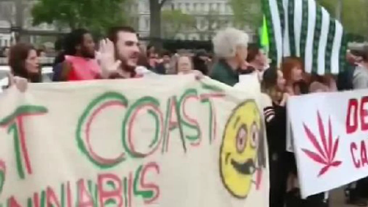 Zeci de protestatari au cerut, în fața Casei Albe, legalizarea marijuanei (VIDEO)