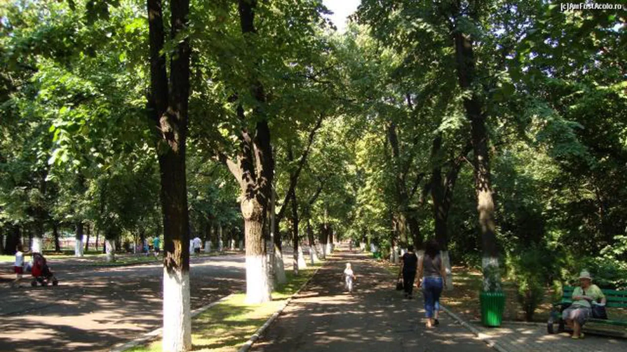 Buzău: Un cuplu de pensionari, atacat de câini de luptă într-un parc. Bărbatului i-a fost sfâşiată mâna dreaptă