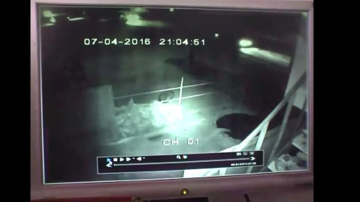 Vrancea: Un biciclist a murit pe loc, după ce a fost lovit în plin de un autotren (VIDEO)