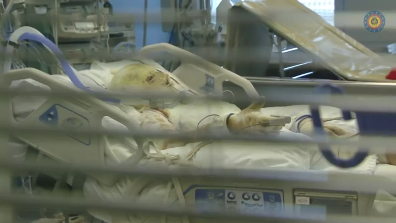 #Colectiv: "Când invocă legea ca să refuze accesul părinților la dosarele copiilor morți din cauza bacteriilor din spitale, medicii uită că ei au încălcat primii legea"