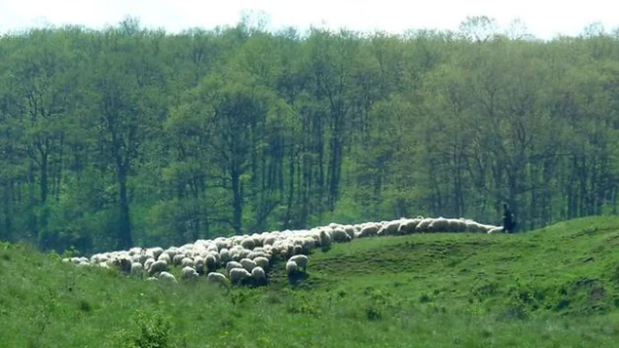 Satele românești care au cucerit lumea: "Arată ca Raiul. Mi-ar plăcea să locuiesc acolo" (FOTO)