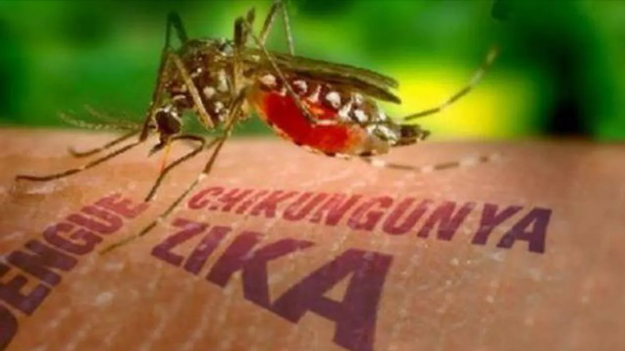 Experți americani, despre virusul Zika: „Tot ce cercetăm cu privire la acest virus pare mai îngrijorător decât credeam iniţial”