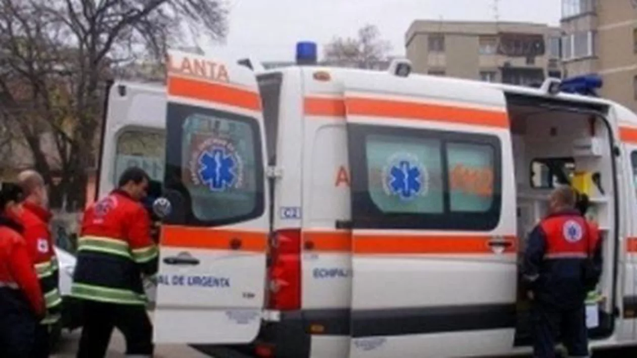 Un bărbat din Bistrița a ajuns la urgențe, după ce a fost mușcat de o viperă