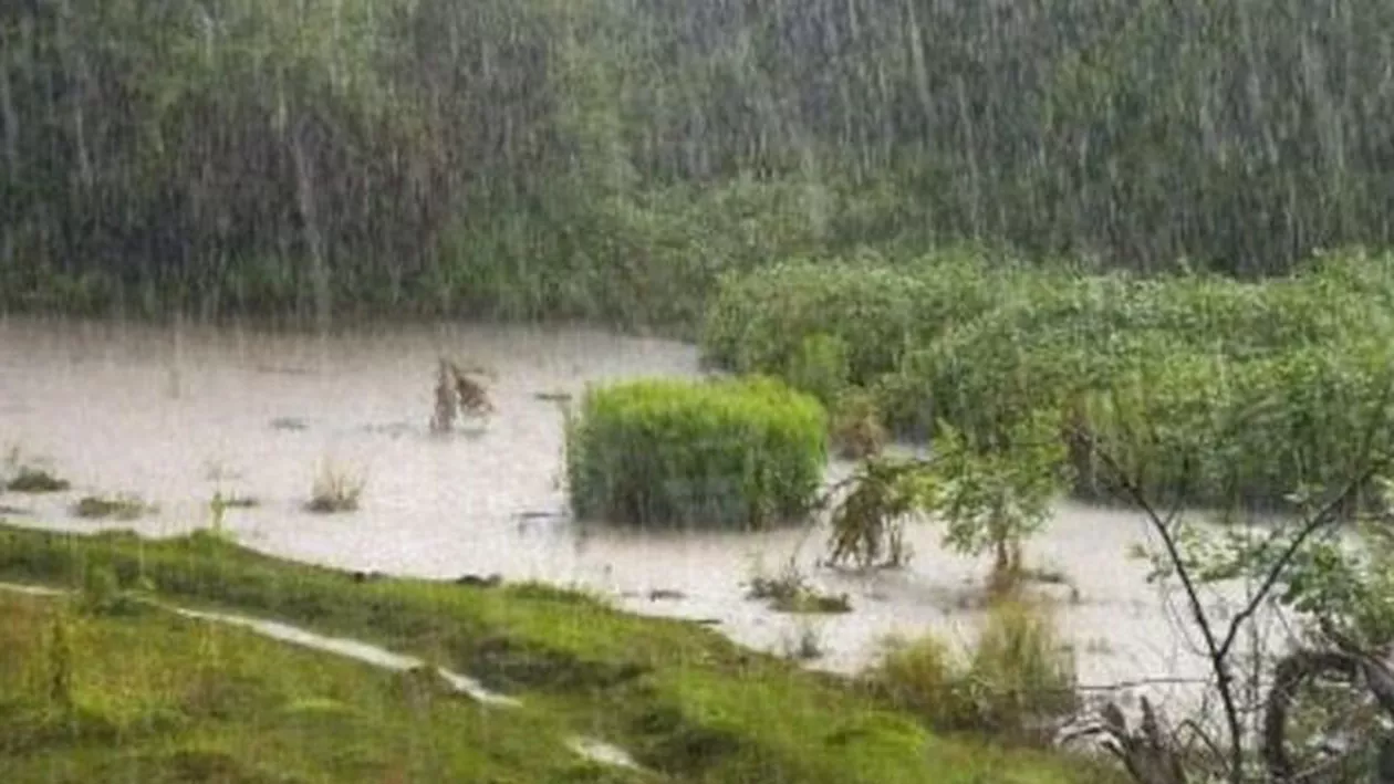 Alertă de ploi torențiale și vânt: 16 judetețe și Capitala, sub cod galben (VIDEO)