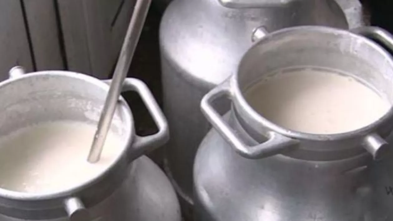 ANSVA a descoperit nereguli grave la producătorii de lapte: 18 unități au fost închise (VIDEO)