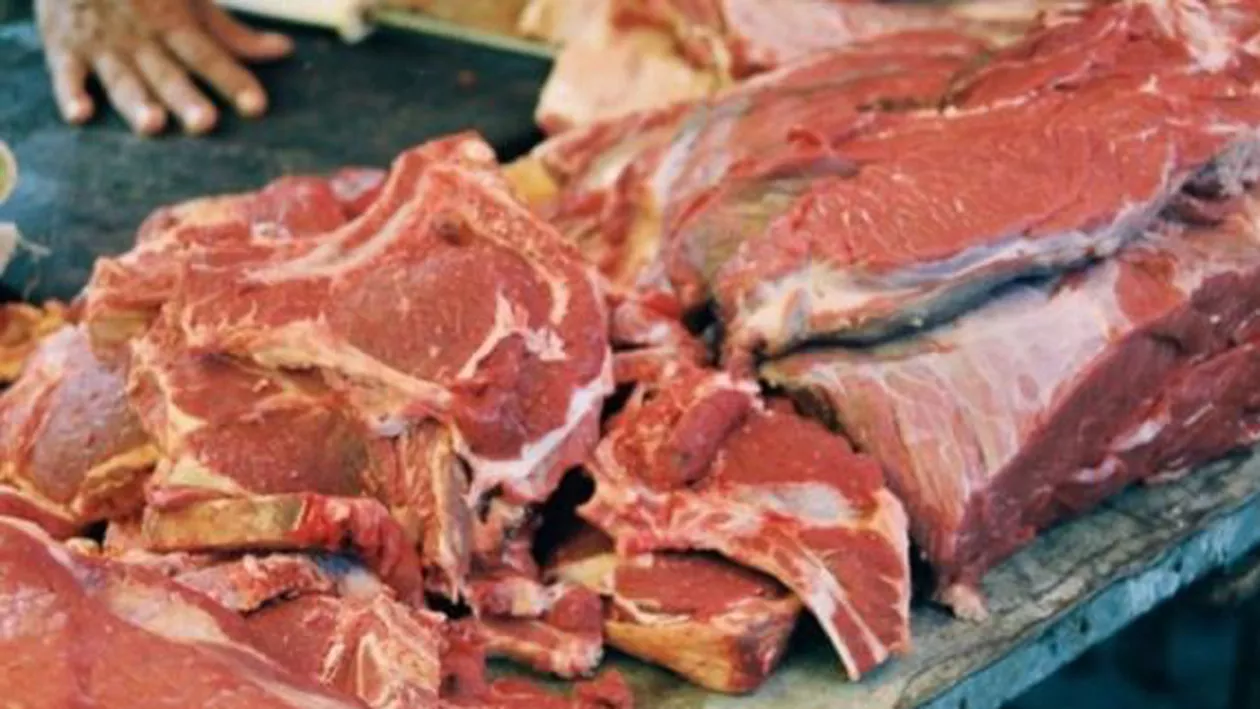 ANSVSA a confiscat peste 20 de tone de carne alterată dintr-un depozit din Sectorul 2 (VIDEO)