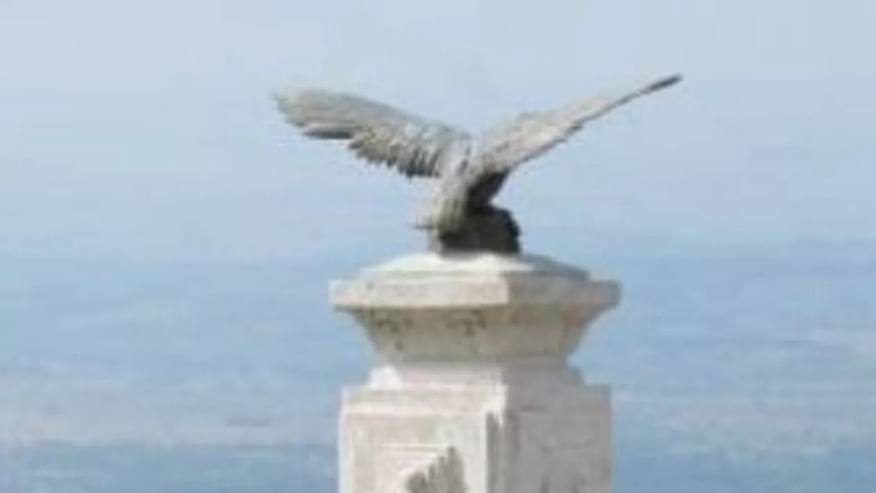 "S-au furat tablouri, cărţi vechi şi chiar vulturii din bronz de pe monumentele dedicate eroilor neamului": Poliţia Română, pe urmele hoţilor