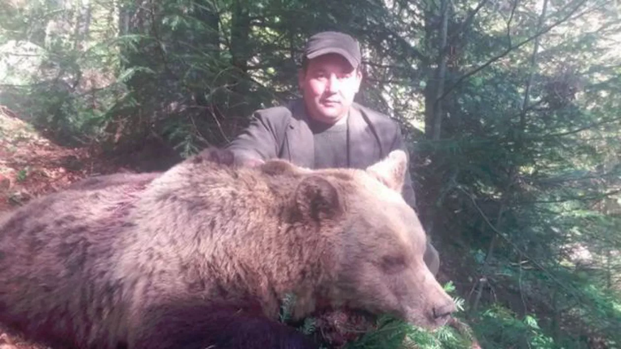 Angajat al Ocolului Silvic, extrem de mândru că a împuşcat un urs brun: "Iscusitul vânător a ucis din plăcerea de a ucide. Cei care se dedau la astfel de vicii sângeroase ar trebui considerați pericole sociale" (FOTO)
