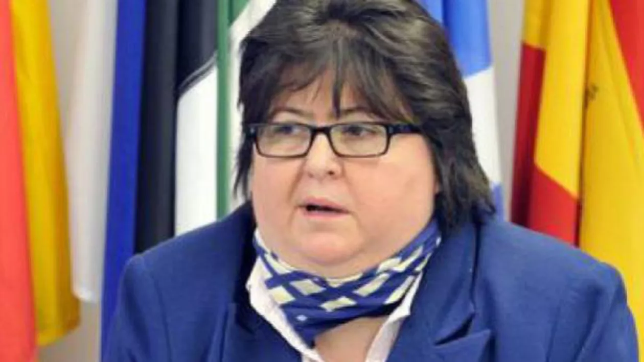 Pippidi: România internă a fost  dată pe mâna serviciilor, dacă societatea românească nu are puterea să se apere şi să fie o societate cu adevărat civilă