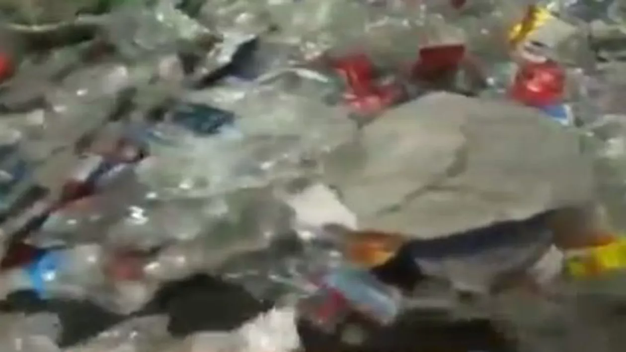UPDATE // Milioane de euro, plătite de 21 de companii pentru a scăpa de răspunderea penală: Firmele au plătit taxa de reciclare a ambalajelor doar în scris (VIDEO) / Poziţia Kaufland România