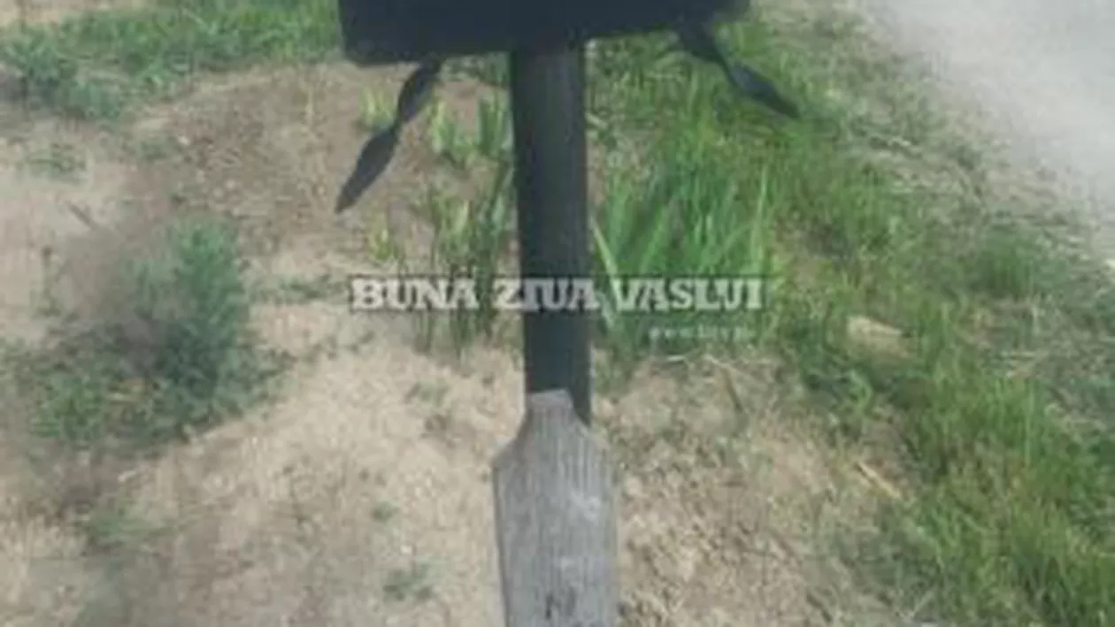 Orice pentru a câştiga campania electorală: PSD-iștii împart iconițe electorale și carduri cu reduceri la mormântul lui Arsenie Boca (VIDEO, FOTO)