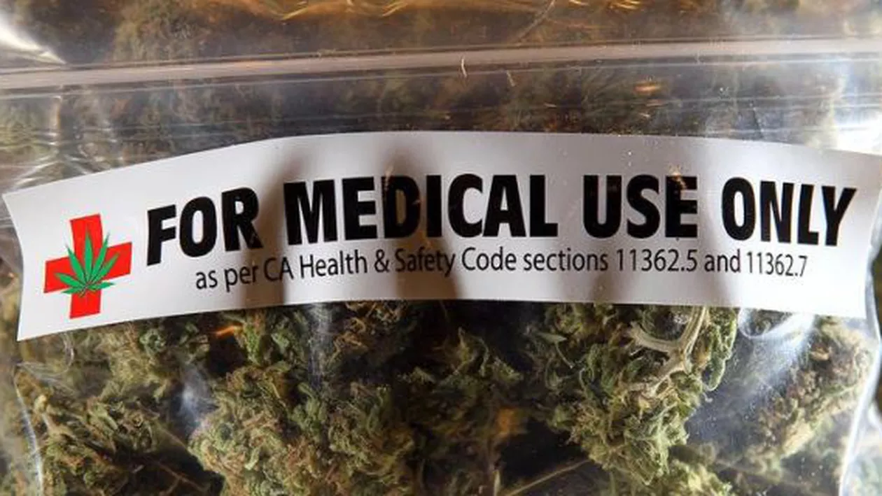 Germania este pe punctul de a legaliza consumul de cannabis în scopuri medicinale începând cu anul viitor